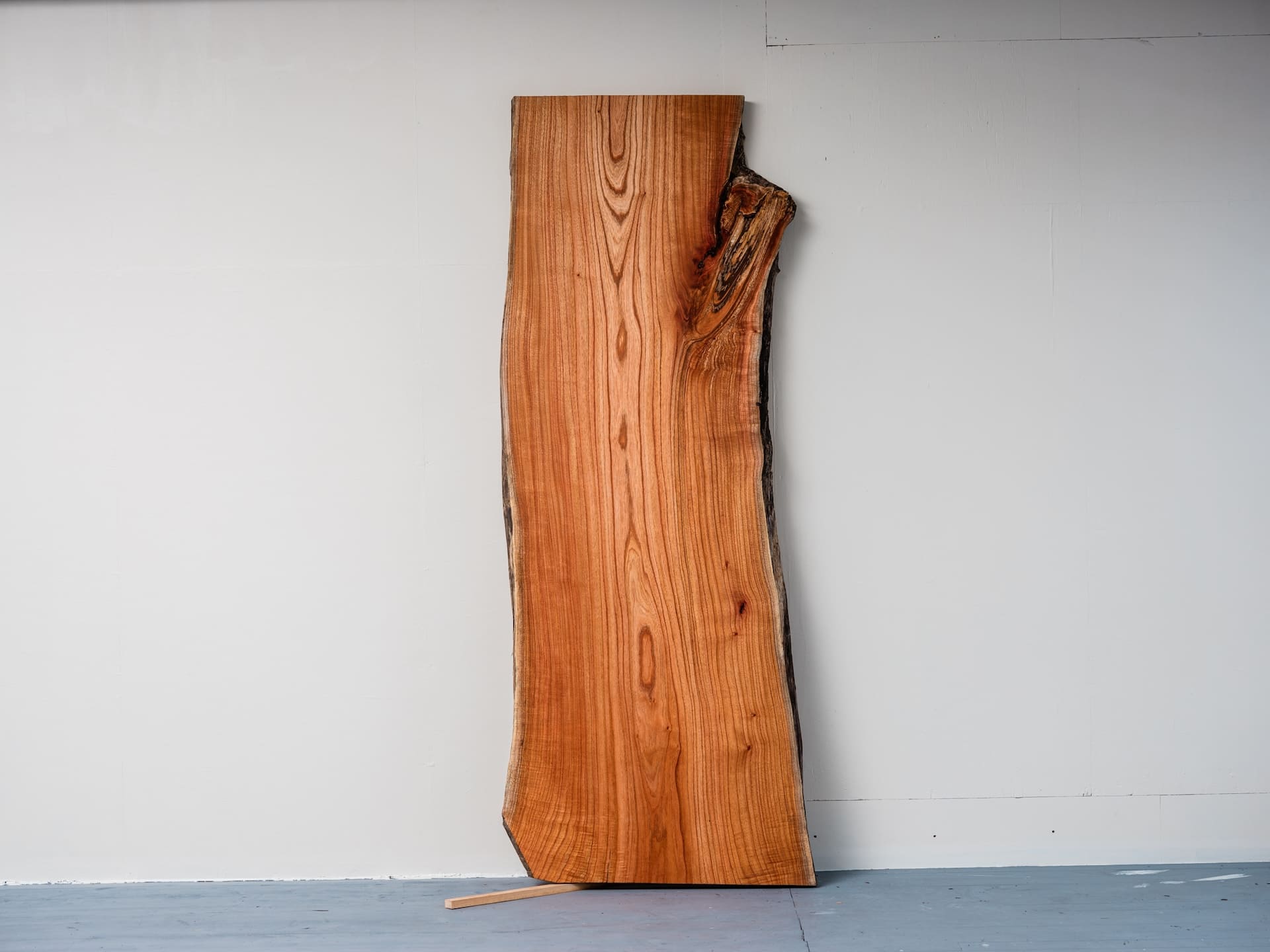 “Harmony Wood” 樹齢120年のセンダン